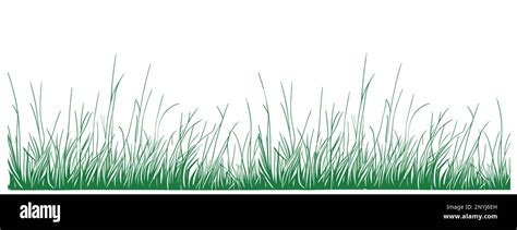 Grass Field Hand Drawn Sketch In Doodle Style Illustration Stock Vector Image And Art Alamy