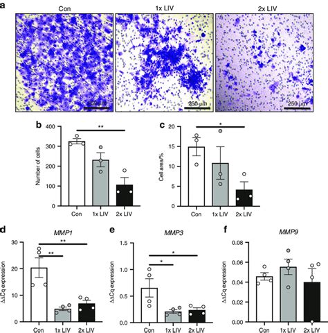 Liv Suppresses Invasion Of Mda Mb 231 Cells A Representative Images