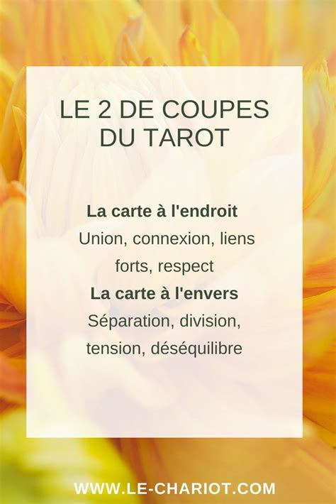 Le 2 De Coupes Du Tarot Toutes Les Significations De La Carte Tarot