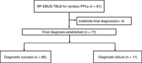 Radial Probe Endobronchial Ultrasoundguided Transbronchial Lung Biopsy