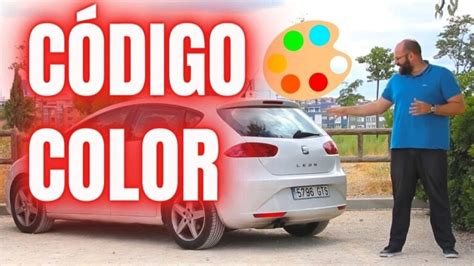 Descubre C Mo Saber La Pintura De Tu Coche En Simples Pasos