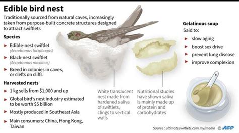 Edible Bird's Nest Is a Rare Asian Delicacy - Delishably