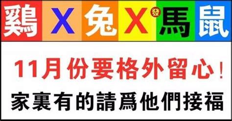 11月份要格外留心了（雞x兔x馬鼠）家裡有的請為他們接福