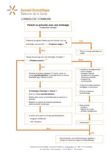 Prise En Charge Des Lombalgies Arbre D Cisionnel Conseil