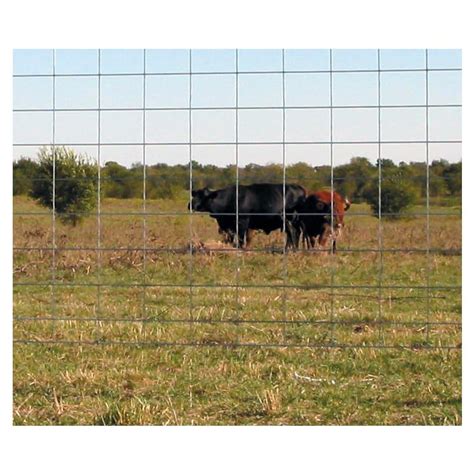 Livestock Panels Ok Brand Max 50 13 Wire Fencing Panel Fleet Farm