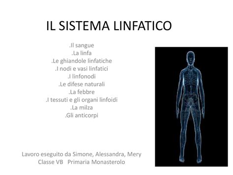 Il Sistema Linfatico By Istitutocomprensivomontalcini Issuu