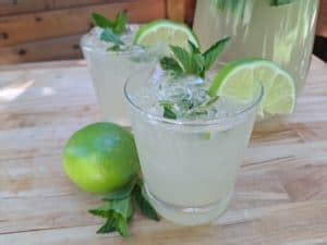 Sparkling Mint Limeade Recipe Danodan Hempworks