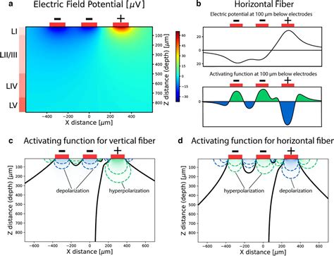 Multielectrode Cortical Stimulation Selectively Induces Unidirectional