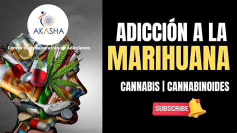 ADICCIÓN A LA MARIHUANA YouTube