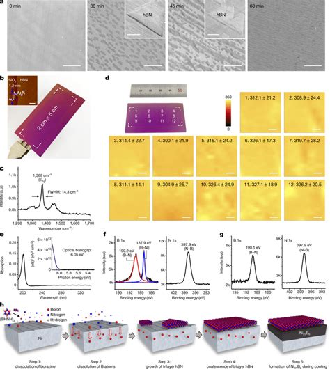 Growth Of Single Crystal Trilayer Hbn On Ni A Sem Images Showing