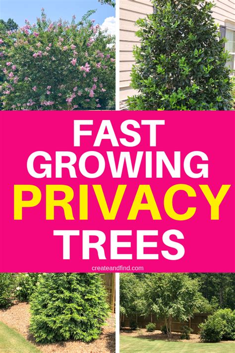 Fast Growing Privacy Trees Artofit