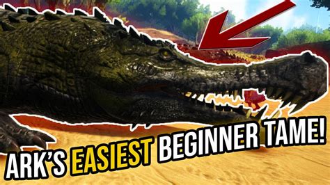 How To EASILY Tame A Sarco The BEST Beginner Tame In Ark YouTube