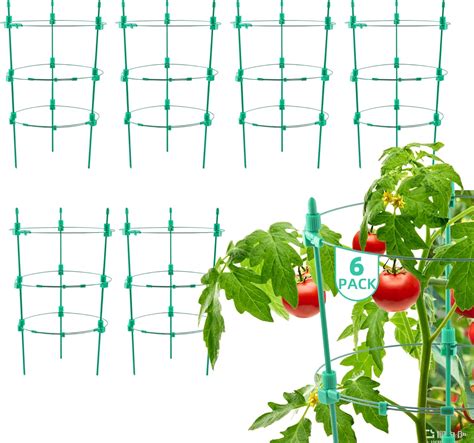 Amazon Cjgq Plant Support Tomato Cages For Garden Pack Inch