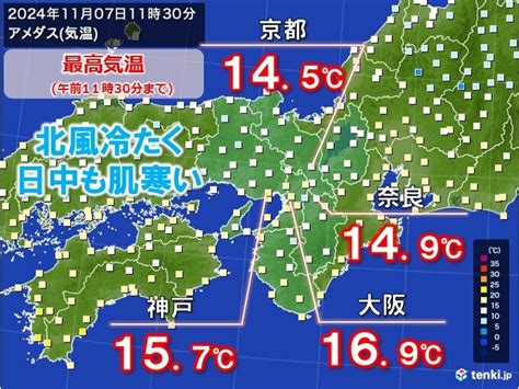 近畿で木枯らし1号 今日7日は風の冷たい一日に 明日8日朝はこの秋一番の冷え込み気象予報士 堂本 幸代 2024年11月07日 日本