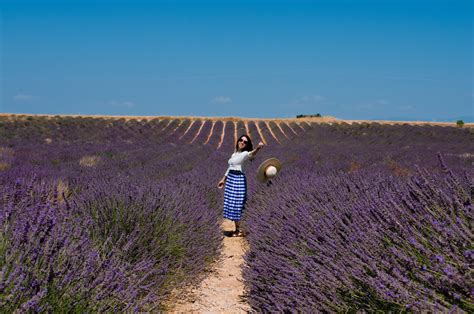 When And Where To See Lavender Fields In Provence Elena S Edit