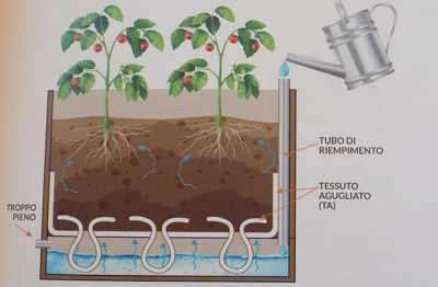 Orto Autoirrigante Cos Come Si Costruisce E Le Sue Potenzialit