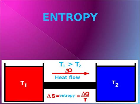 Thermodynamics Of Biological Systems