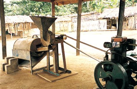 Oil Palm Processing - Agriculture Nigeria