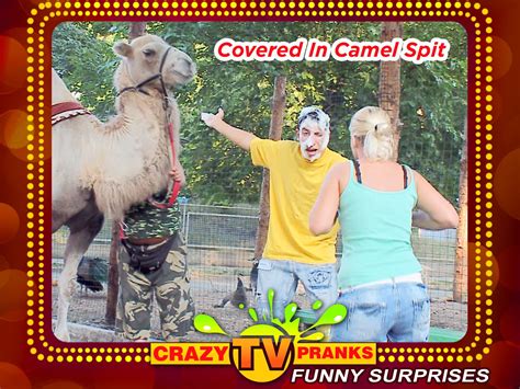 Watch Clip: Crazy TV Pranks. Funny Surprises | Prime Video