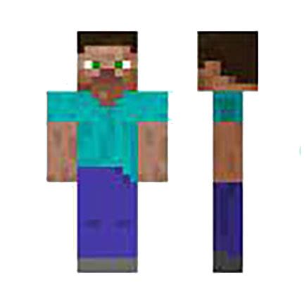 Minecraft Steve - Digital FXtbook