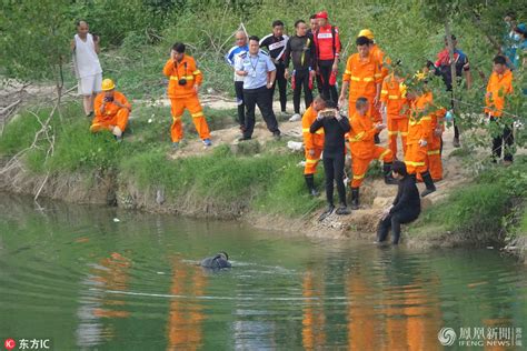 河南男子无视警告下水游泳 不幸溺亡