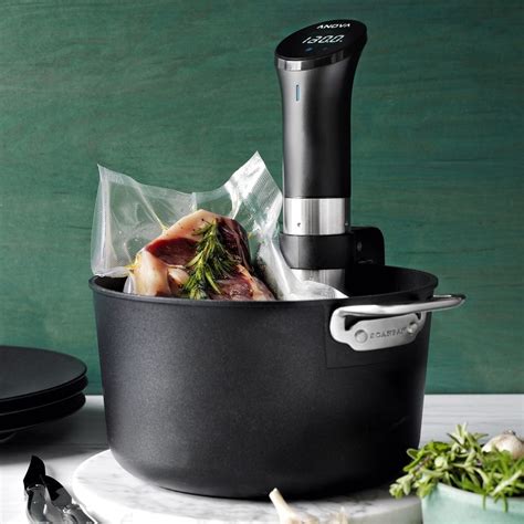 Anova Precision Sous Vide Cooker With Wifi Williams Sonoma Australia