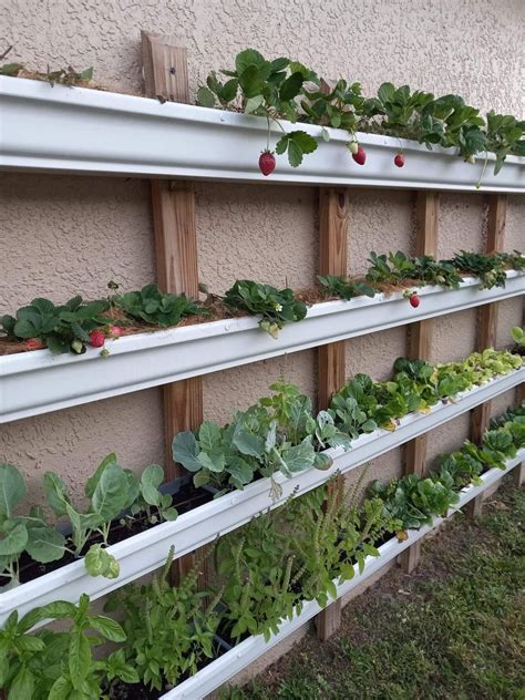 Pin by Ümran Hanaylı on teras için Vertical garden diy Backyard