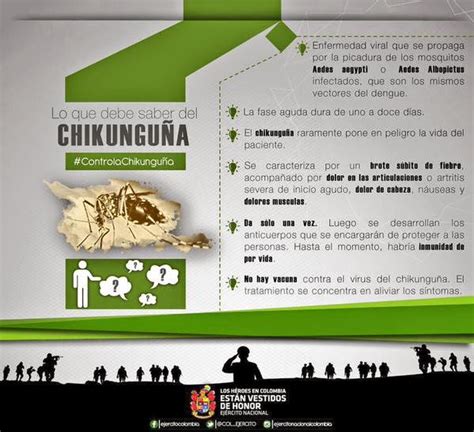 Chikungunya Lo Que Debes Saber Sobre El Chicungu A