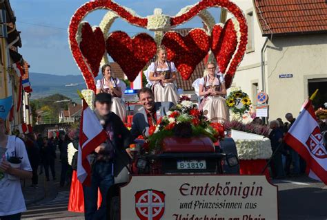 Ingelheimer Marktplatz Förderverein Erntedankfest und Brauchtum