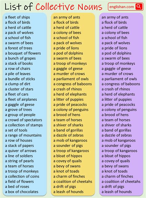 100 Examples Of Collective Nouns List Englishan