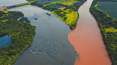 Amazônia tudo o que você precisa de saber antes de viajar Leroy Viagens