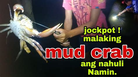 Jockpot Malaking Mud Crab Ang Nahuli Namin By Pook Tv Talibon