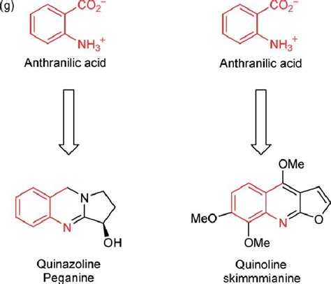 Representative Members Of The Major Structural Classes Of Alkaloids