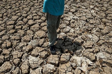 Thailand Faces Worst Drought In Decade World Chinadaily Cn