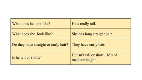 Unit 9 What does he look like Section A Grammar Focus 3d 课件 共22张PPT