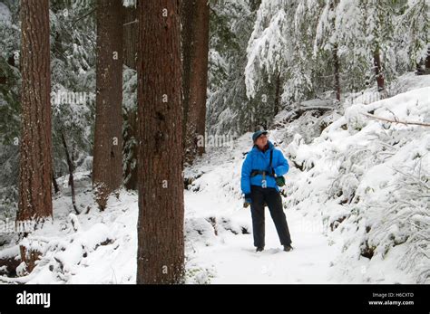 Marion Lake Trail in winter, Mt Jefferson Wilderness, Willamette ...