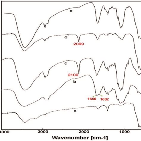 Ftir Spectra Of Fe3o4 Nanoparticles Mnp A Pure Chitosan Cs B