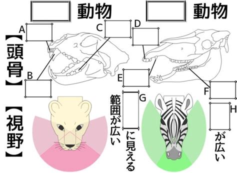 高気圧と低気圧 - ふたば塾〜中学理科無料オンライン学習サイト〜
