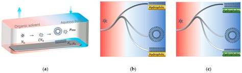 Micromachines Free Full Text Thermodynamic Modeling Of Solvent