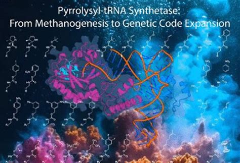 Evolution Of Pyrrolysyl Trna Synthetase From Methanogenesis To Genetic