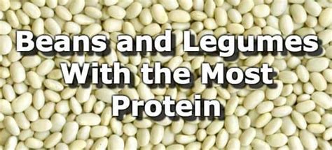 37 Beans And Legumes With The Most Protein