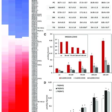 Stress Induced Lipid Droplets In Hce Cells Ac Oil Red O Staining Of