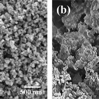 SEM Micrographs Of A ZrO 2 And B CaSi Raw Powders Used In This