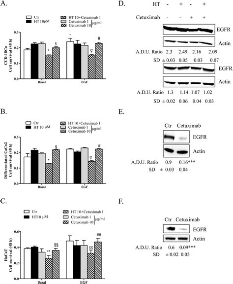 HT-cetuximab combination reduces side effects of cetuximab treatment in ...