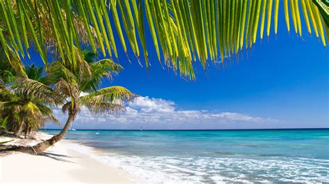 Desktop Caribbean Beach Wallpapers Wallpaper Cave