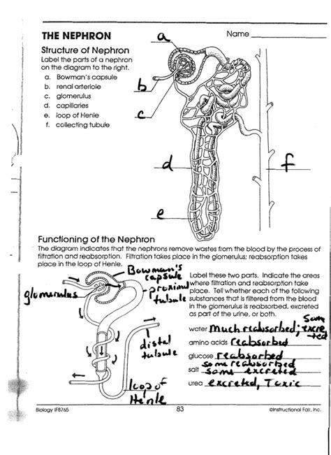 Nephron Parts