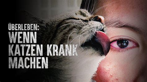 Wie überlebt man Katzen Kratz Krankheit YouTube