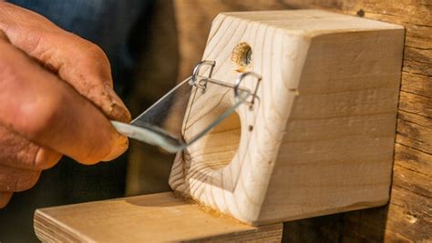 Einen Hummelkasten selbst bauen Schritt für Schritt NDR de