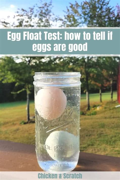 Egg Float Test Tell If Your Expired Eggs Are Still Good To Eat