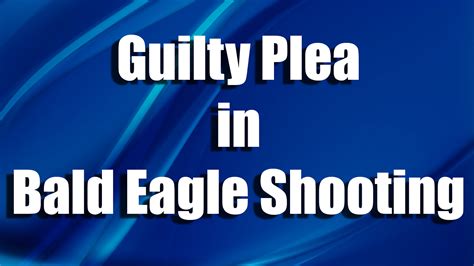 Man Pleads Guilty For Shooting Bald Eagle